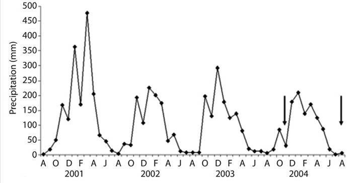 Average monthly precipitation from 2000 to 2004. It should be noted that the profile for the year 2000-2001 is representative of a typical precipitation profile for this area. The total rainfall for the period 2002-2004 was lower than expected. The arrows indicate the months in which microbialites associated with Cladophora sp. filaments were found.