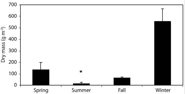 Seasonal variation of Cladophora sp. weight in the Lules River: Spring (N = 11); Summer (N = 12); Fall (N = 8); Winter (N = 12). Asterisk shows significant difference (T test, P < 0.05).