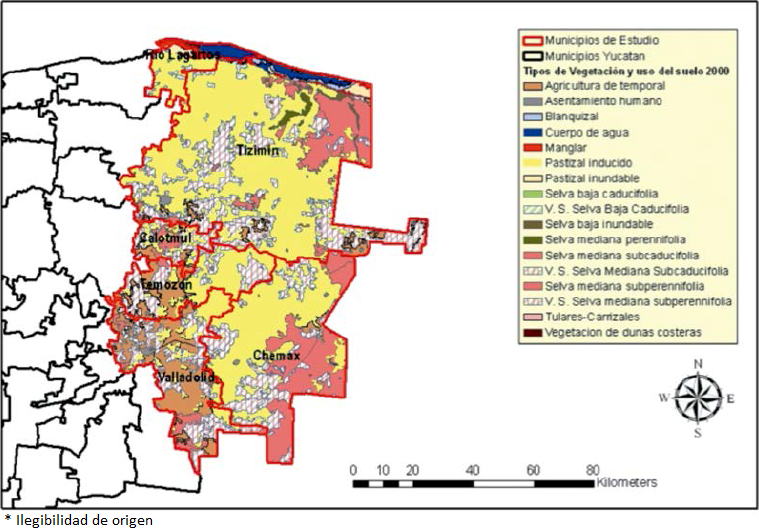 Tipos de vegetación y uso del suelo de los sitios de estudio en 2000. Elaboración propia