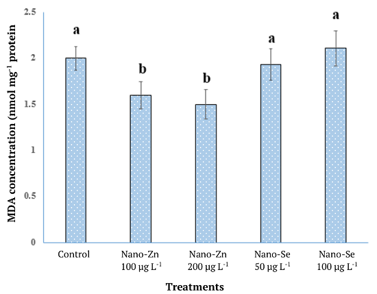 Malondialdehyde concentration in the body of worker bees received nano-particles.