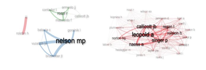 Red de colaboraci�n entre autores y red de co-citaciones.