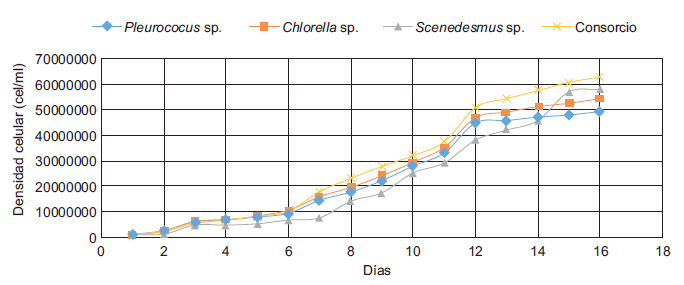 Cin&eacute;tica de crecimiento de los tres g&eacute;neros y el consorcio utilizados en la fase de cultivo en los fotobiorractores