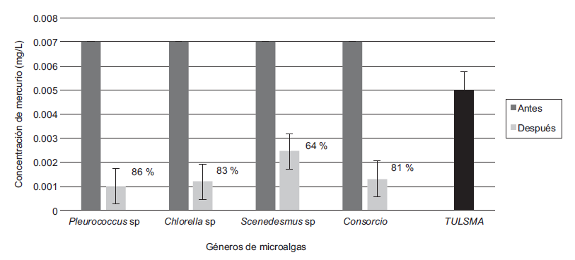Concentraciones de mercurio en agua residual antes y despu&eacute;s de 20 d&iacute;as de tratamiento en funci&oacute;n de la cepa de microalga utilizada en los fotobiorreactores. Se detalla la m&aacute;xima concentraci&oacute;n de mercurio permitida en el Texto Unificado de Legislaci&oacute;n Secundaria de Medio Ambiente