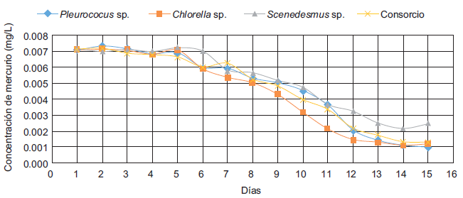 Disminuci&oacute;n de la concentraci&oacute;n de mercurio (mg/L) por las microalgas seleccionadas con relaci&oacute;n al tiempo