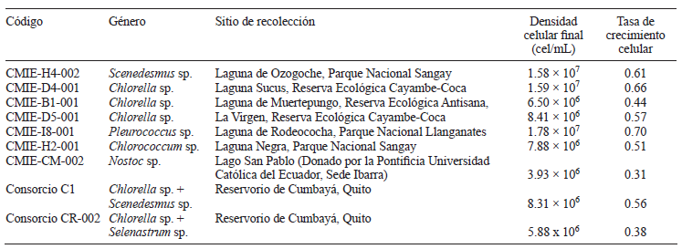 SELECCI&Oacute;N DE CEPAS DE MICROALGAS Y CIANOBACTERIAS DE ACUERDO CON EL CRECIMIENTO CELULAR Y ADAPTACI&Oacute;N A EFLUENTES MINEROS