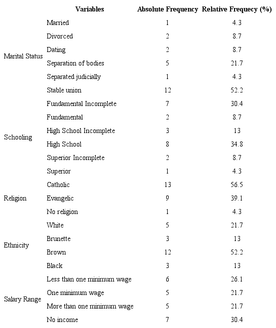 Socio-demographic profile of the Investigated Population