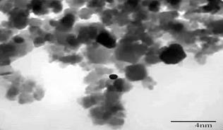 Microscop&iacute;a electr&oacute;nica de transmisi&oacute;n de las nanopart&iacute;culas.