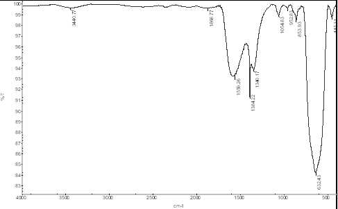 Espectro IR de las nanopart&iacute;culas de magnetita sintetizada.