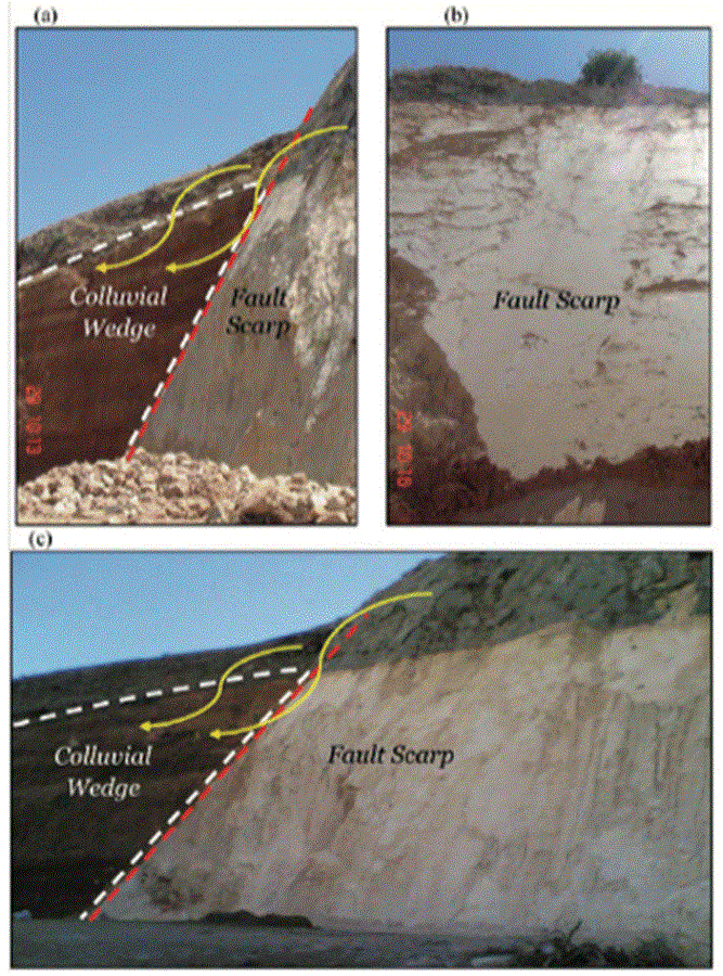 Field Photographs illustrating the development of typical colluvial wedges that formed along the eastern bounding fault of the Ghab pull-apart basin. The dashed red and white lines delineate the fault plane and the colluvial wedge, respectively.