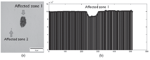 System for the recognition of wear patterns on microstructures of ...