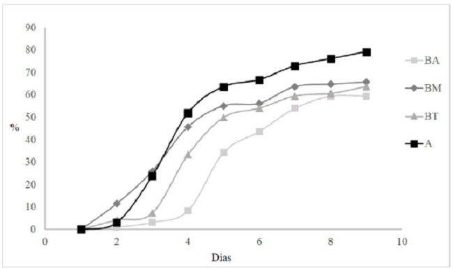 Semillas de rábano germinadas en las mezclas de bocashi: BA)
bocashi con aserrín, mango y plátano; BM) bocashi con mango; BT)
bocashi tradicional; y A) Suelo Agrícola.Figure 2. Radish seeds germinated in the bocashi
mixtures: BA) bocashi with sawdust, mangoose and banana; BM) bocashi
with mangoose; BT) Traditional bocashi; and A) Agricultural
Soil.