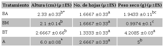 Promedios de altura, número de hojas y biomasa seca en las
plántulas de rábano sembradas en las diferentes mezclas de Bocashi:
BA) Bocashi con aserrín, mango y plátano; BM) Bocashi con mango; BT)
Bocashi tradicional; y A) Suelo Agrícola.Table
2. Means of height, number of leaves and dry biomass of
radish plants sown on different mixtures of bocashi: BA) Bocashi
with sawdust, mangoose and banana; BM) Bocashi with mangoose; BT)
Traditional bocashi; and A) Agricultural soil.