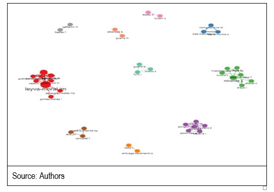 Figure 1. Author collaboration among Scopus and WoS
